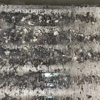 画像243